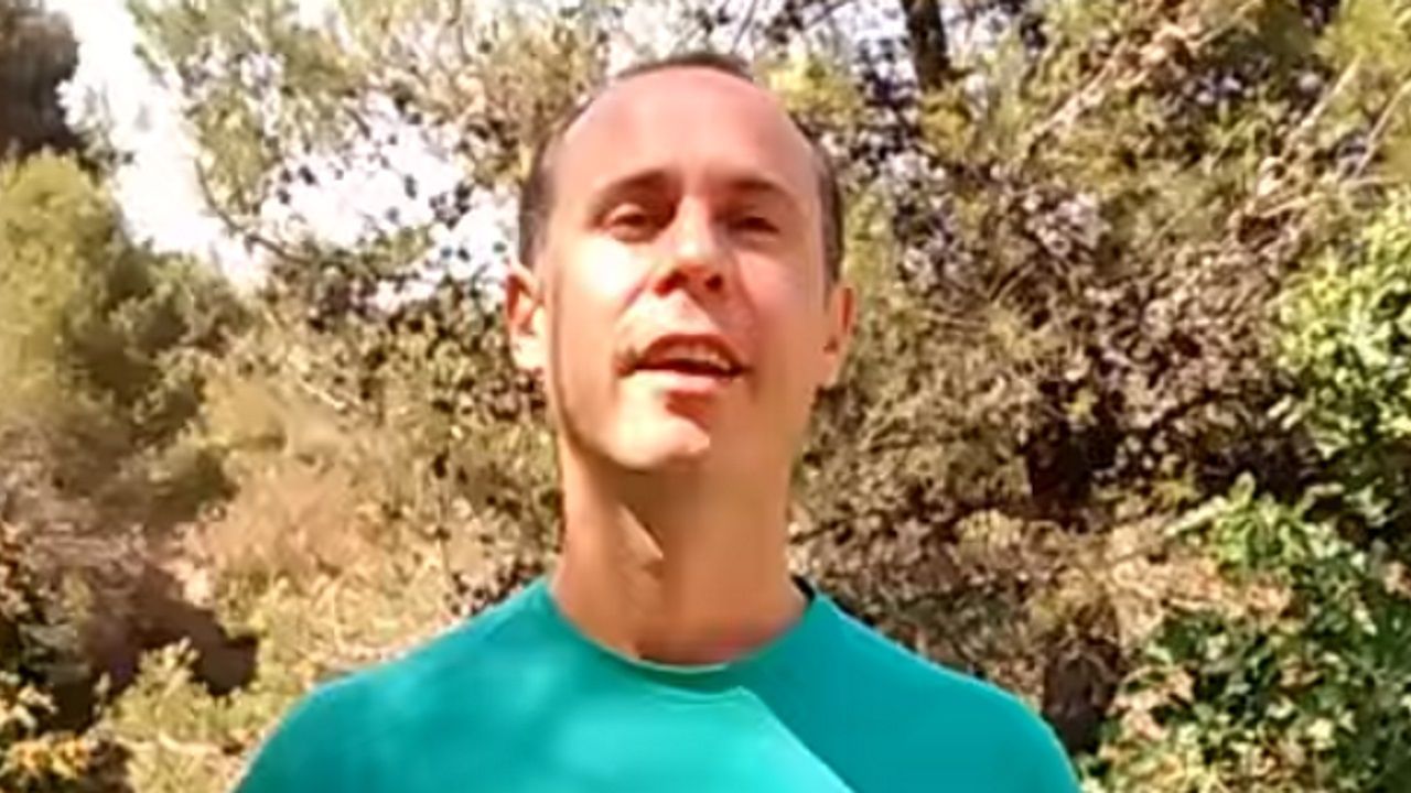 Cómo evitar la deforestación