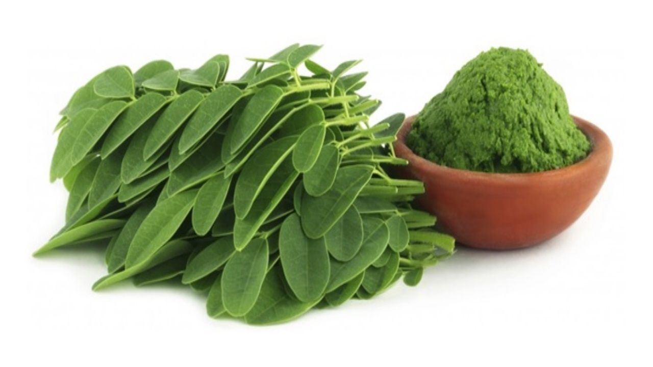 Beneficios de la Moringa para la salud