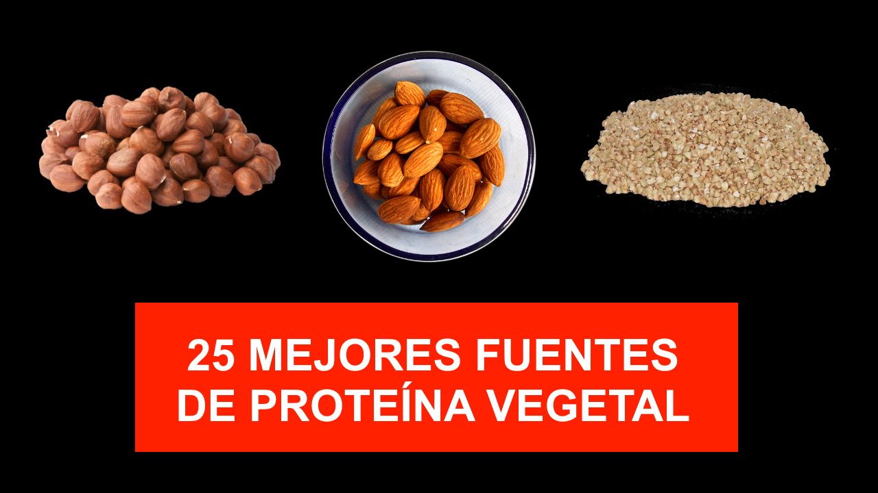 Las 25 mejores fuentes de proteína vegetal para aumentar la masa muscular